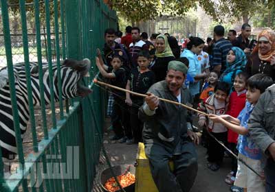 عائلات تحتفل بشم النسيم الماضي في حديقة الحيوان      تصوير: فادي عزت